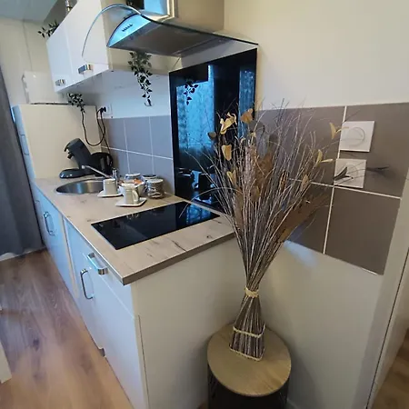 아파트 Le Rabanesse 클레르몽페랑