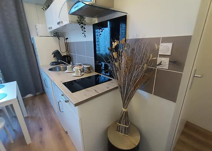 아파트 Le Rabanesse 클레르몽페랑